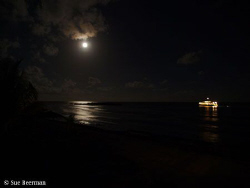 The Utila Aggressor II at Rocky Point under a full moon by Susan Beerman 